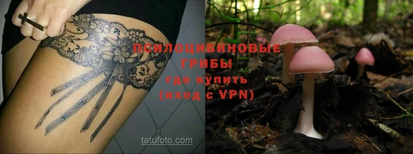 ALPHA PVP Алзамай